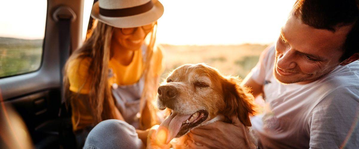 DAK-Mitgliedsantrag: Mann und Frau mit Hund im Auto.