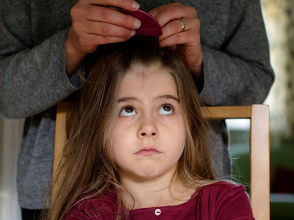 Kopfläuse: Mutter sucht mit einem Nissenkamm Läuse in den Haaren ihrer Tochter