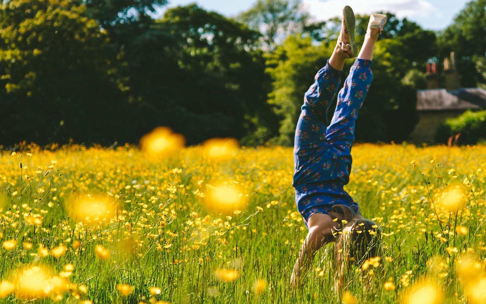 FSME: Kind macht auf einer Wiese mit gelben Blumen Handstand.