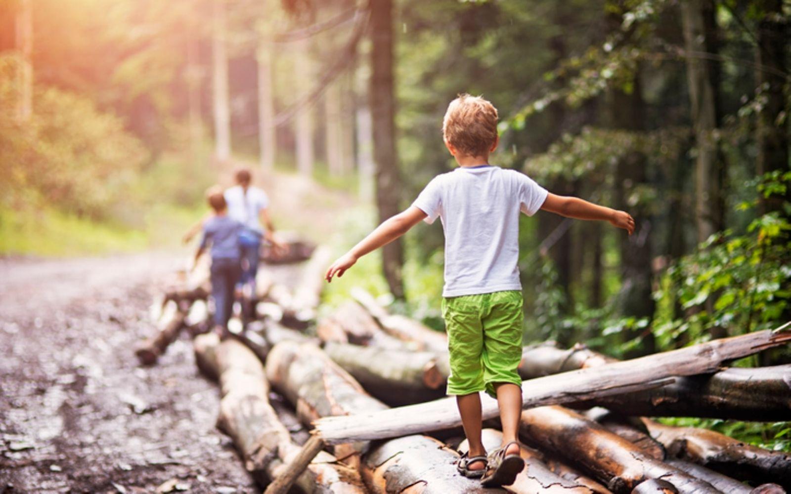 Wandern: Eine Familie wandert durch den Wald, ein Junge balanciert auf einem Baumstamm.