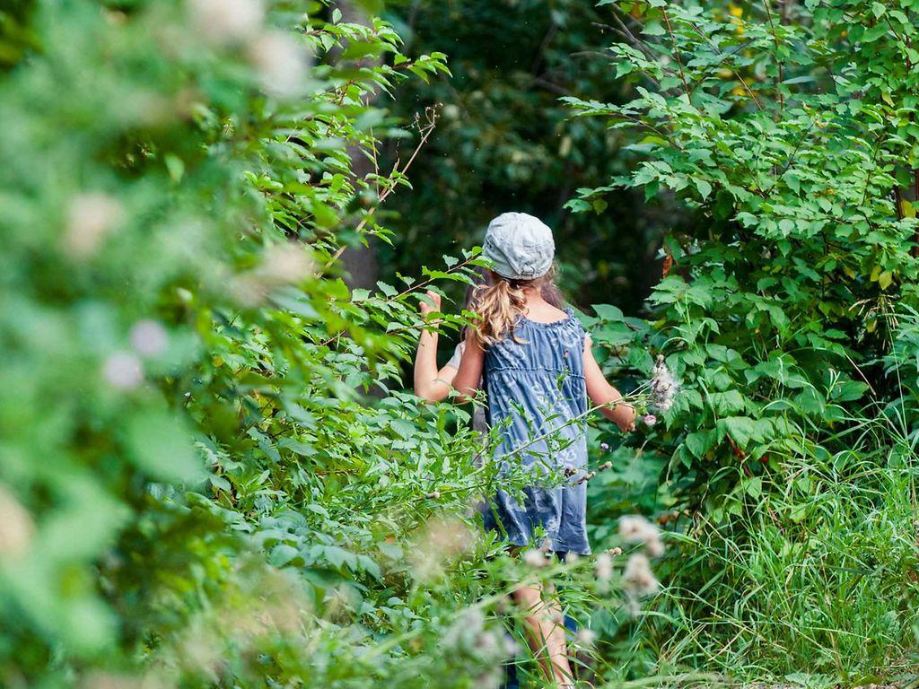 Zeckenstich: Mädchen im kurzen Kleid geht in dichte grüne Büsche.