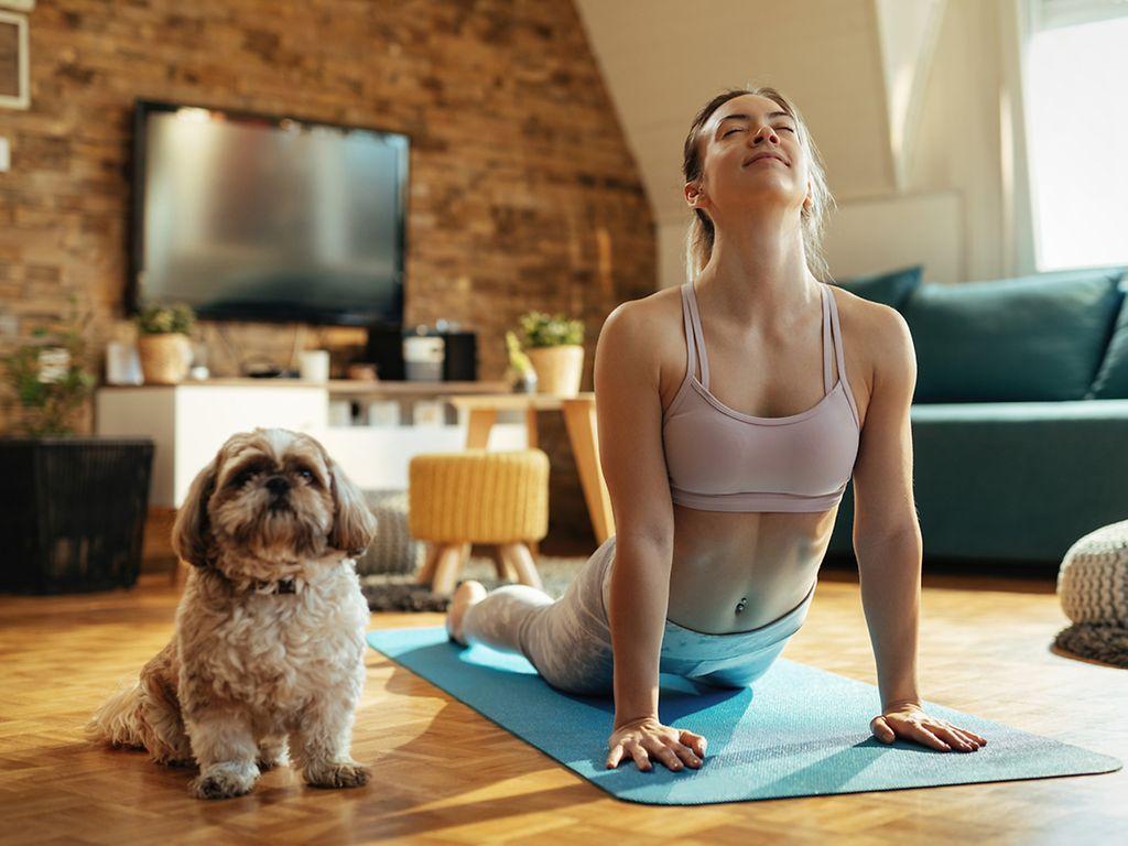 Symbolbild: junge Frau macht Pilates. Ihr Hund sitzt daneben. 