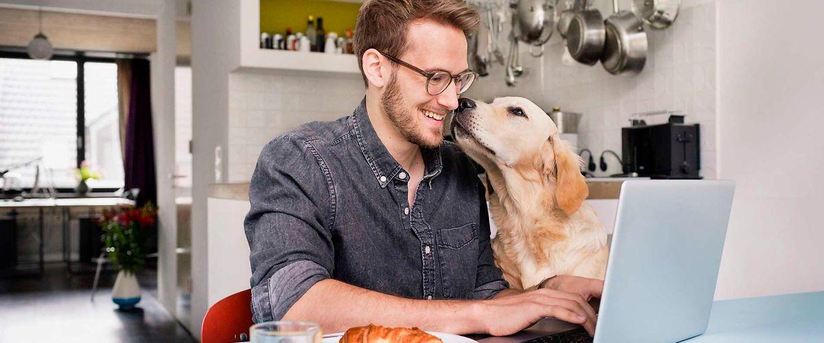 Bild: Mann sitz an seinem Laptop und bekommt von seinem Hund ein Küsschen.