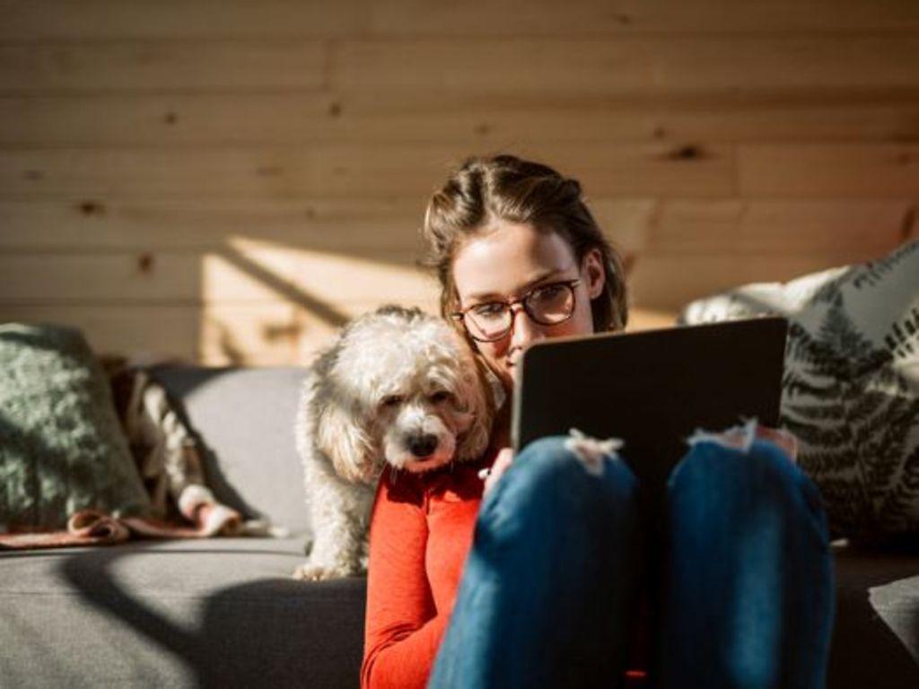 Frau mit Brille guckt in ihr tablet, ein Hund sitzt neben ihr.