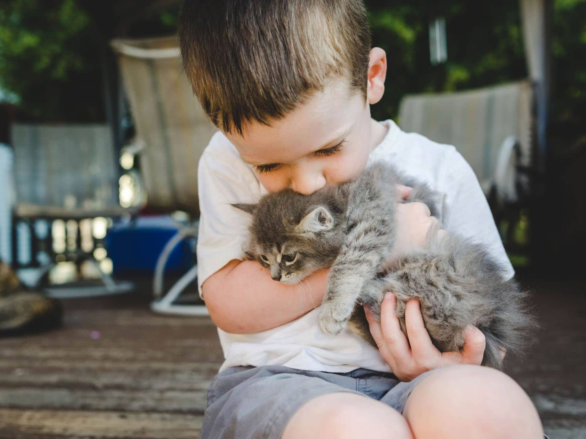 Tierhaarallergie (1)