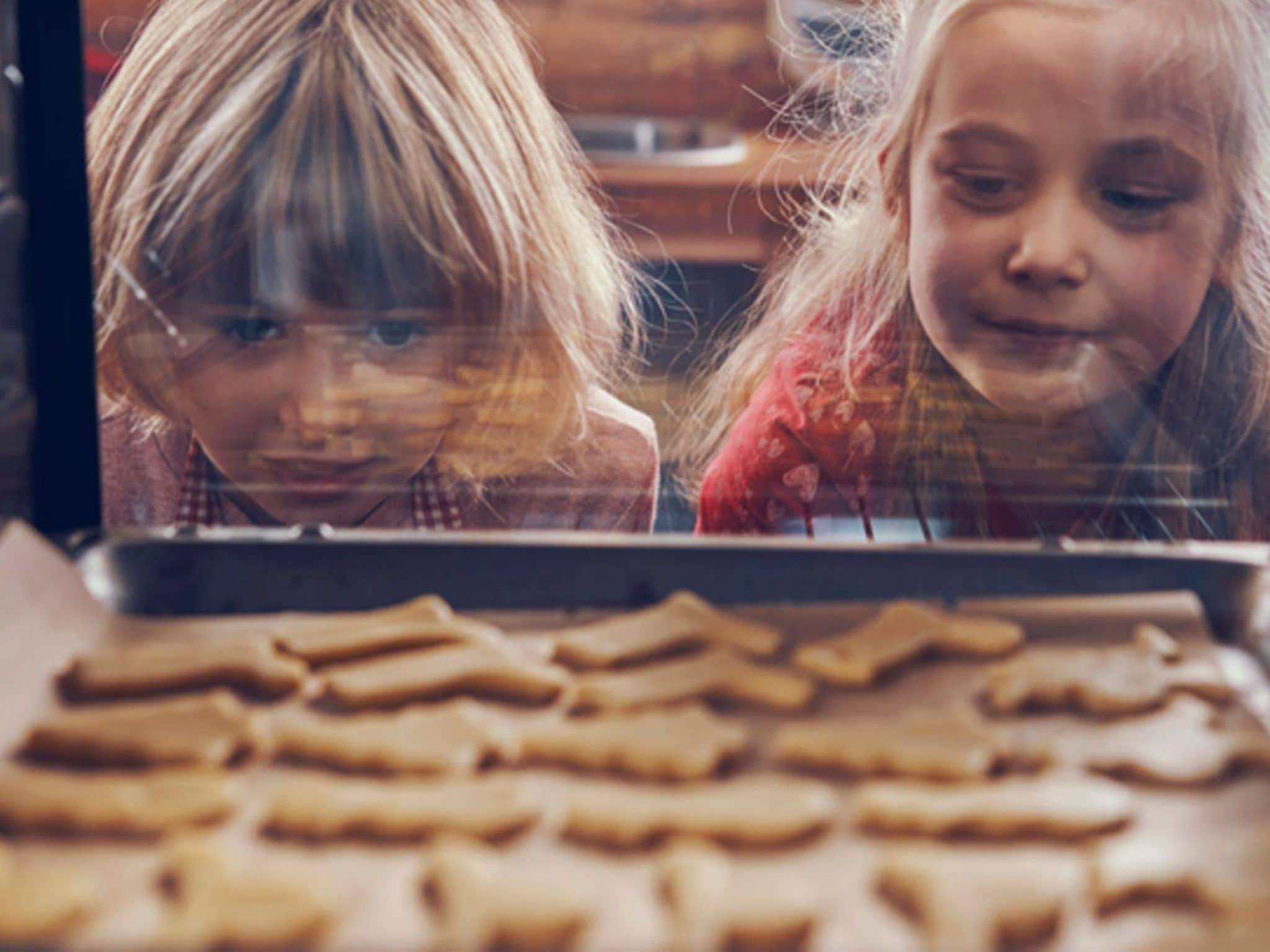 Symbolfoto gesunde Weihnachtskekse