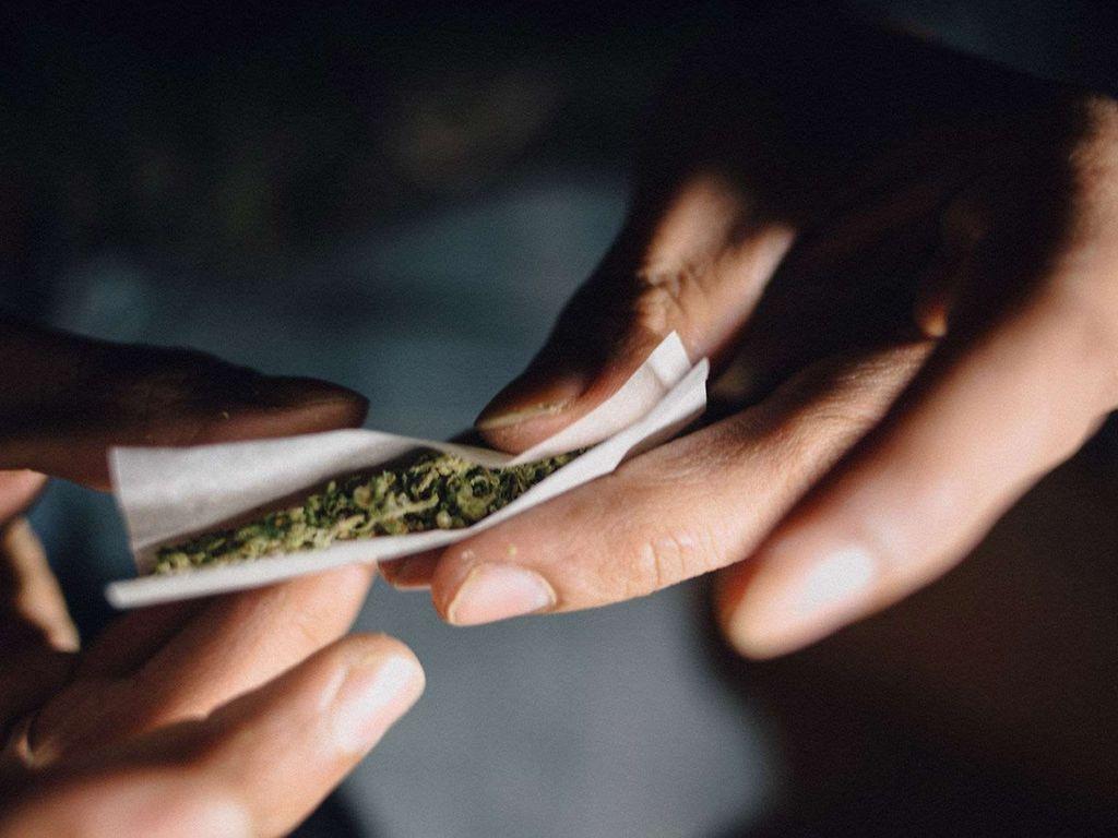 Cannabis auf Rezept: Hände drehen einen Joint. 