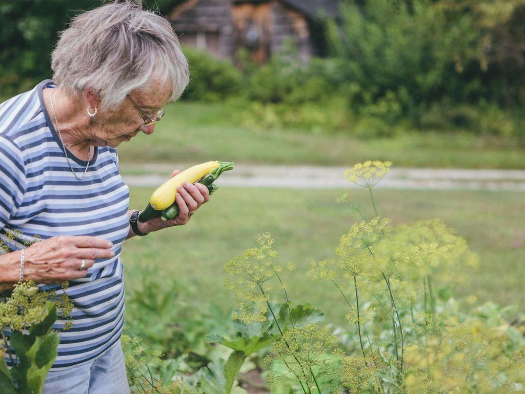 Morbus Crohn: Ältere Frau mit Zucchini in der Hand schaut in ein Gemüsebeet.