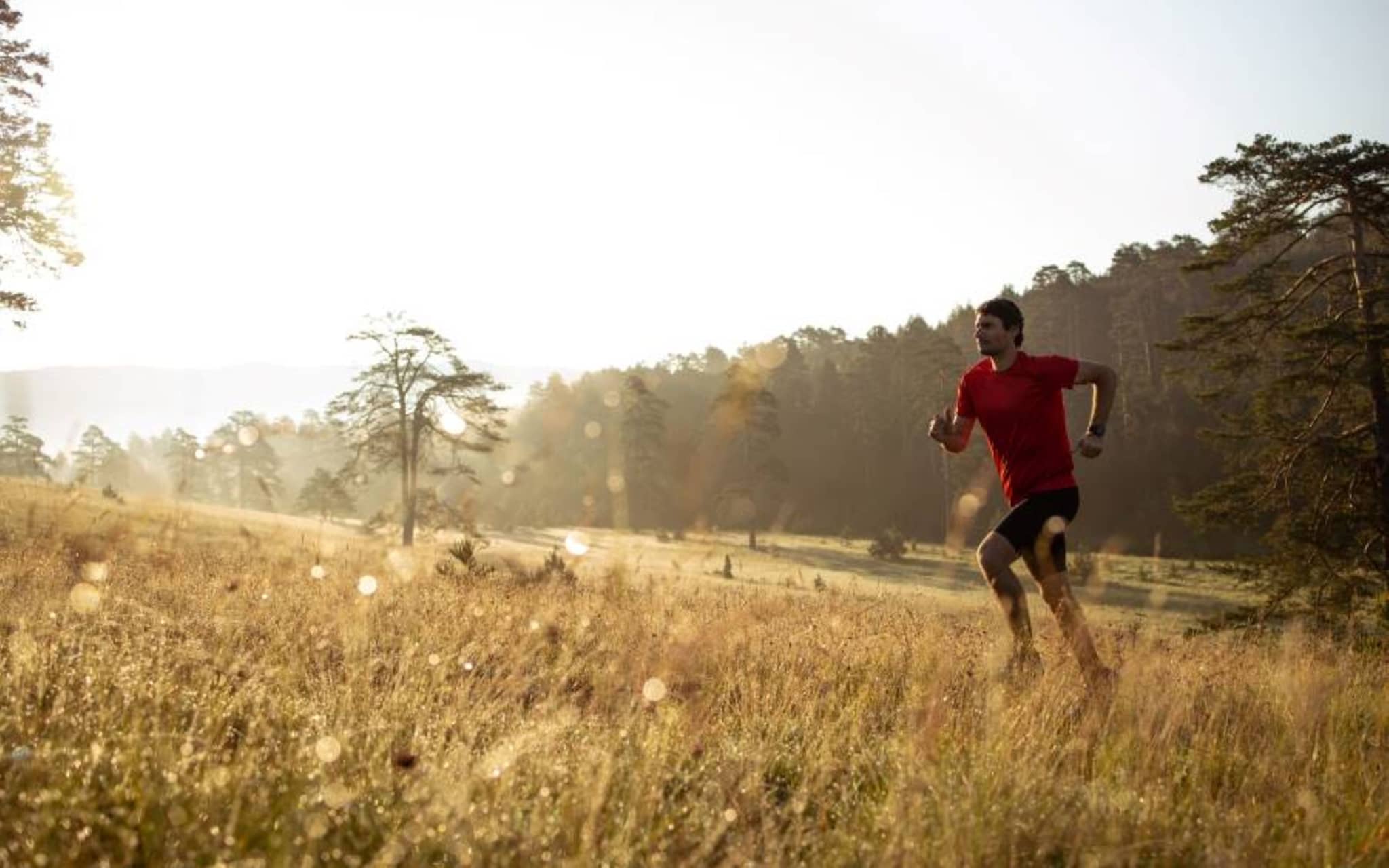 Junger Mann läuft bei Sonnenaufgang einen Berg hoch
