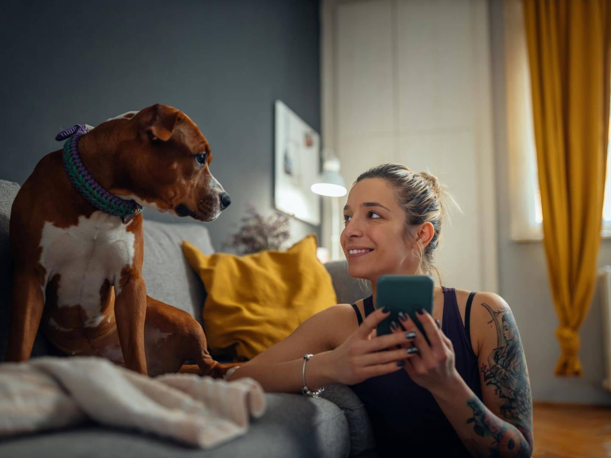 Digitalpost: Junge Frau hält ihr Handy in der Hand und schaut erfreut ihren Hund an