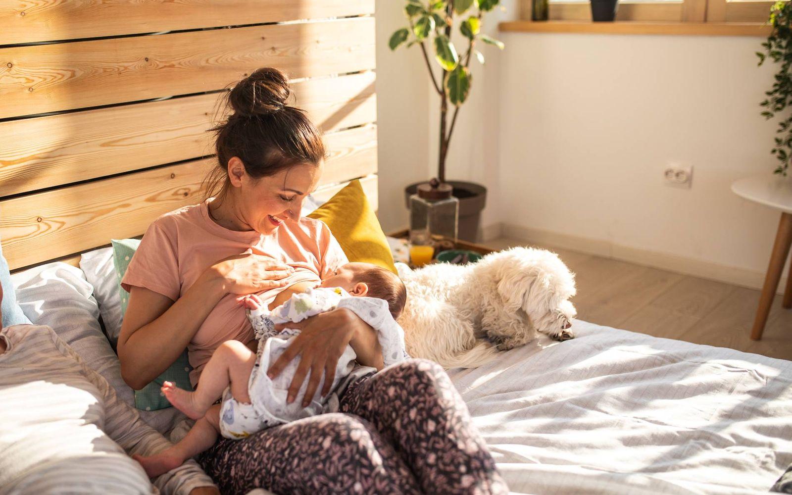 Stillen oder Flasche?: Mutter stillt im Bett ihren Säugling und lächelt entspannt