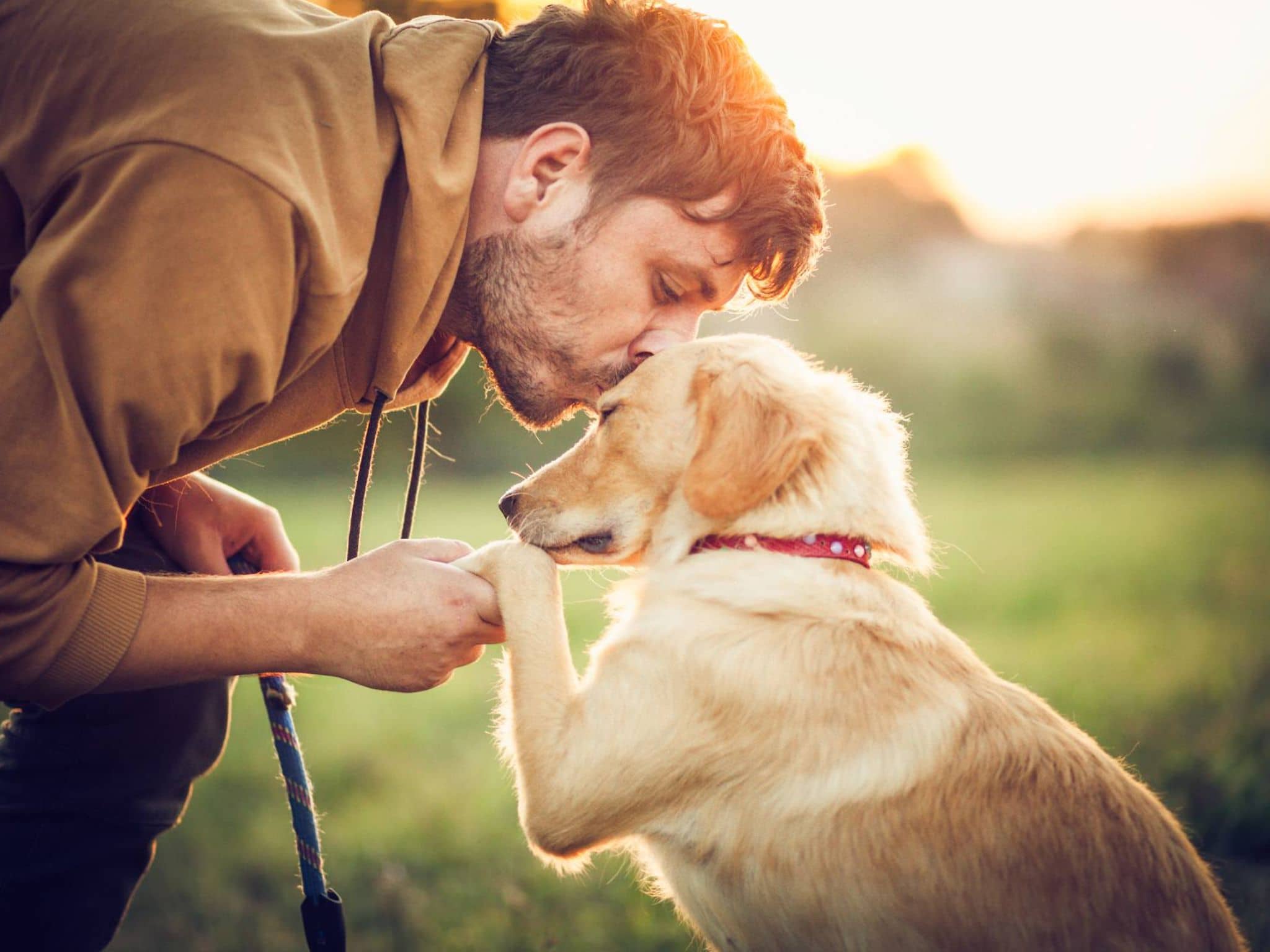 Endlich weniger Stress: Mann küsst Hund liebevoll auf die Stirn und hält dabei seine Pfote.