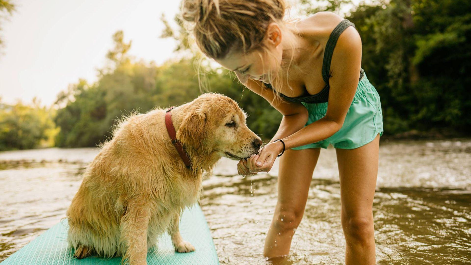 Symbolbild Hitze: Frau spielt mit ihrem Hund im Wasser